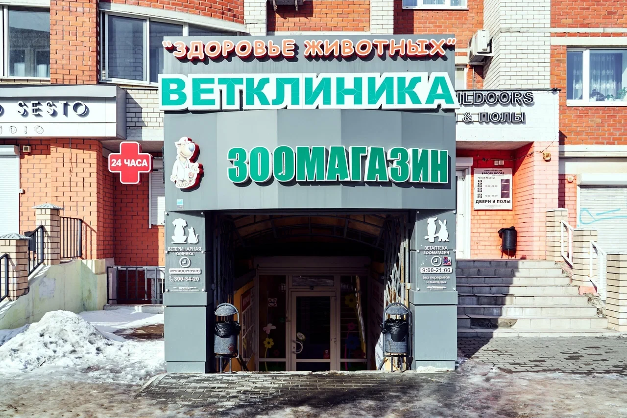 Слайд страницы 'Круглосуточная ветклиника на 60-й Армии, 29А, Воронеж' №0