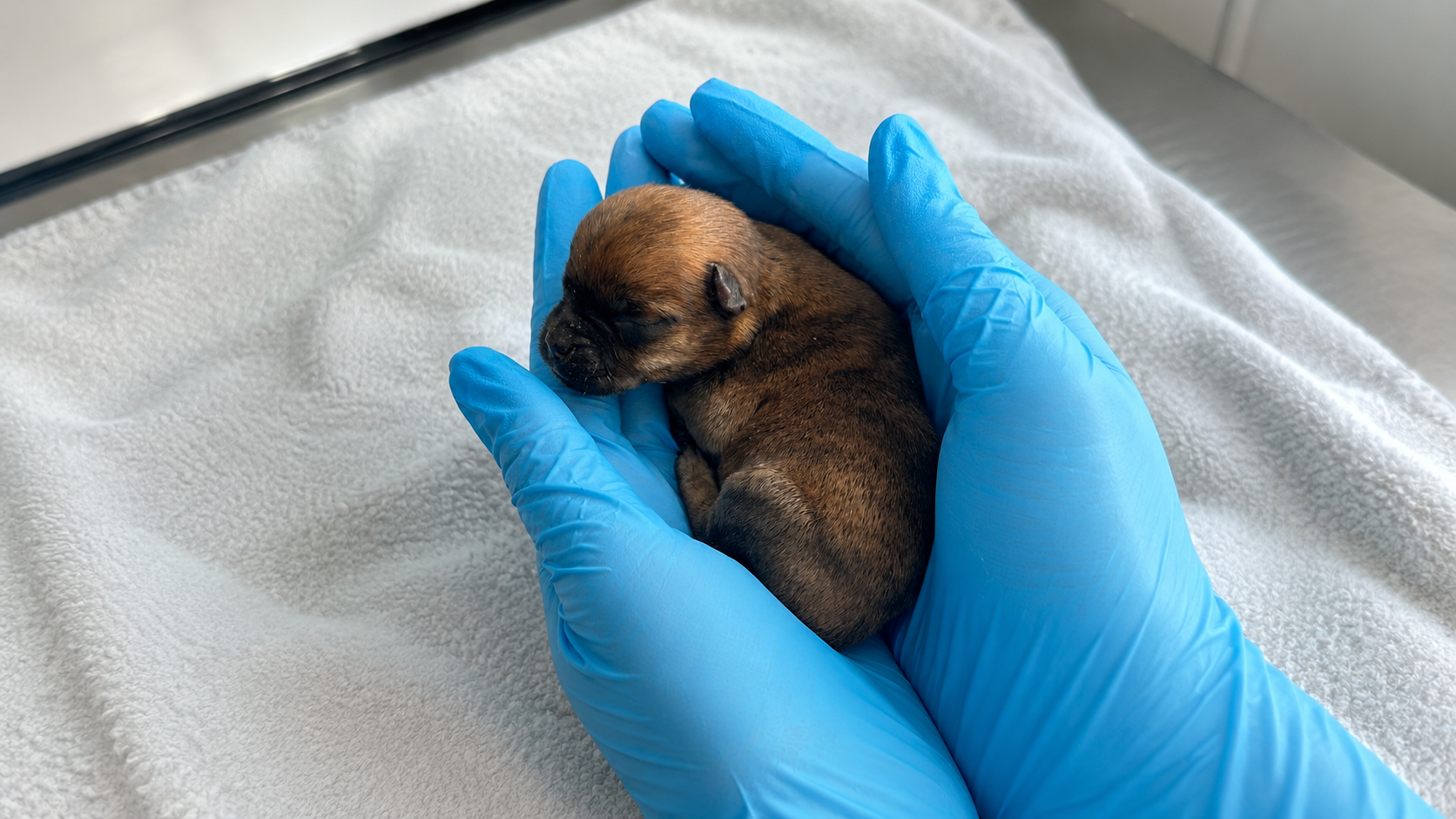 -10% на приём врача-неонатолога